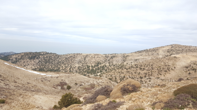 Cumulative impact of the three wind farms in Akkar, as well as the associated road widening and development activities